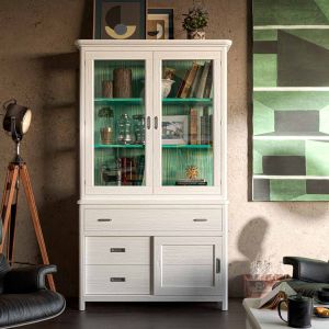 VITRINA PUERTAS Y CAJONES