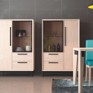 VITRINA BAJA CON 2 PTAS. Y 2 CAJ.