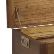 MESA DE CENTRO BAÚL CON 2 CAJ.