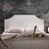 Cabezal-Alexia-Web-1