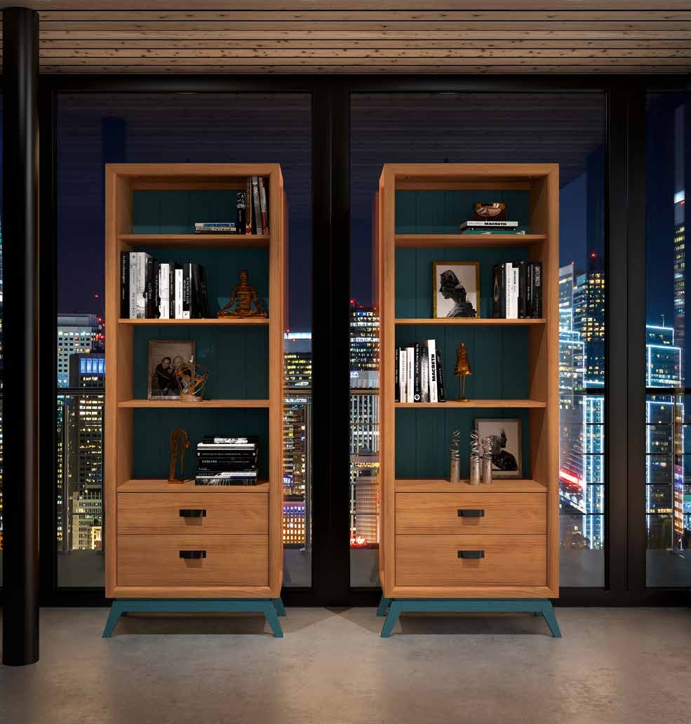 LIBRERÍA CON 2 CAJONES