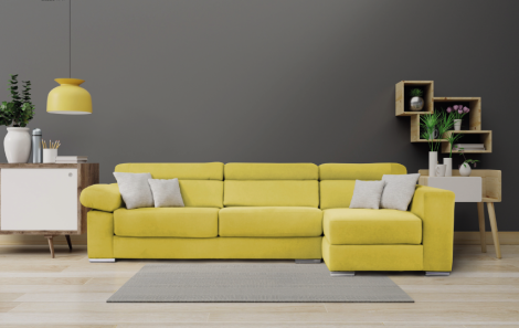 CHAISELONGUE ASIENTOS EXTRAIBLES