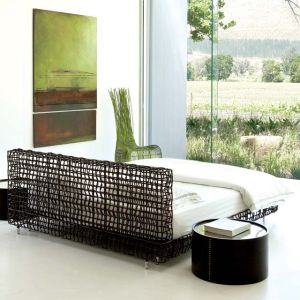 CAMA YIN YANG